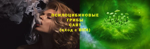 тгк Аркадак