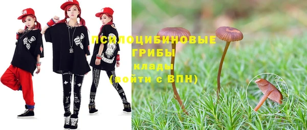 прущий лед Армянск