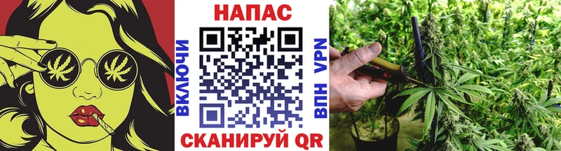 хочу наркоту  Ленинск  Конопля Ganja 